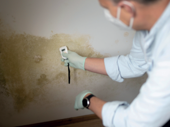 Znaczenie nieniszczących metod badania zawilgocenia w projektowaniu hydroizolacji wtórnych